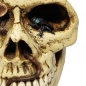 Preview: TOTENKOPF Spardose Totenschädel Gothic Skull Halloween Deko