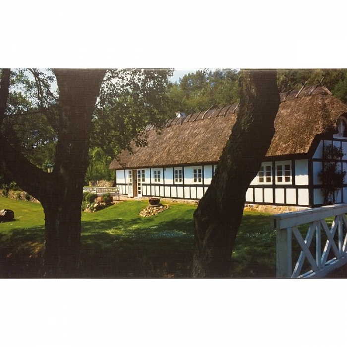 Bild Kunstdruck LANDHAUS Bauernhaus Dänemark 50x30 cm bespannt auf Holzrahmen