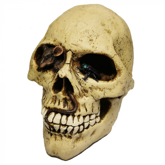 TOTENKOPF Spardose Totenschädel Gothic Skull Halloween Deko