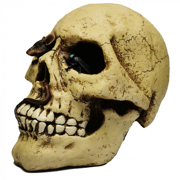 TOTENKOPF Spardose Totenschädel Gothic Skull Halloween Deko